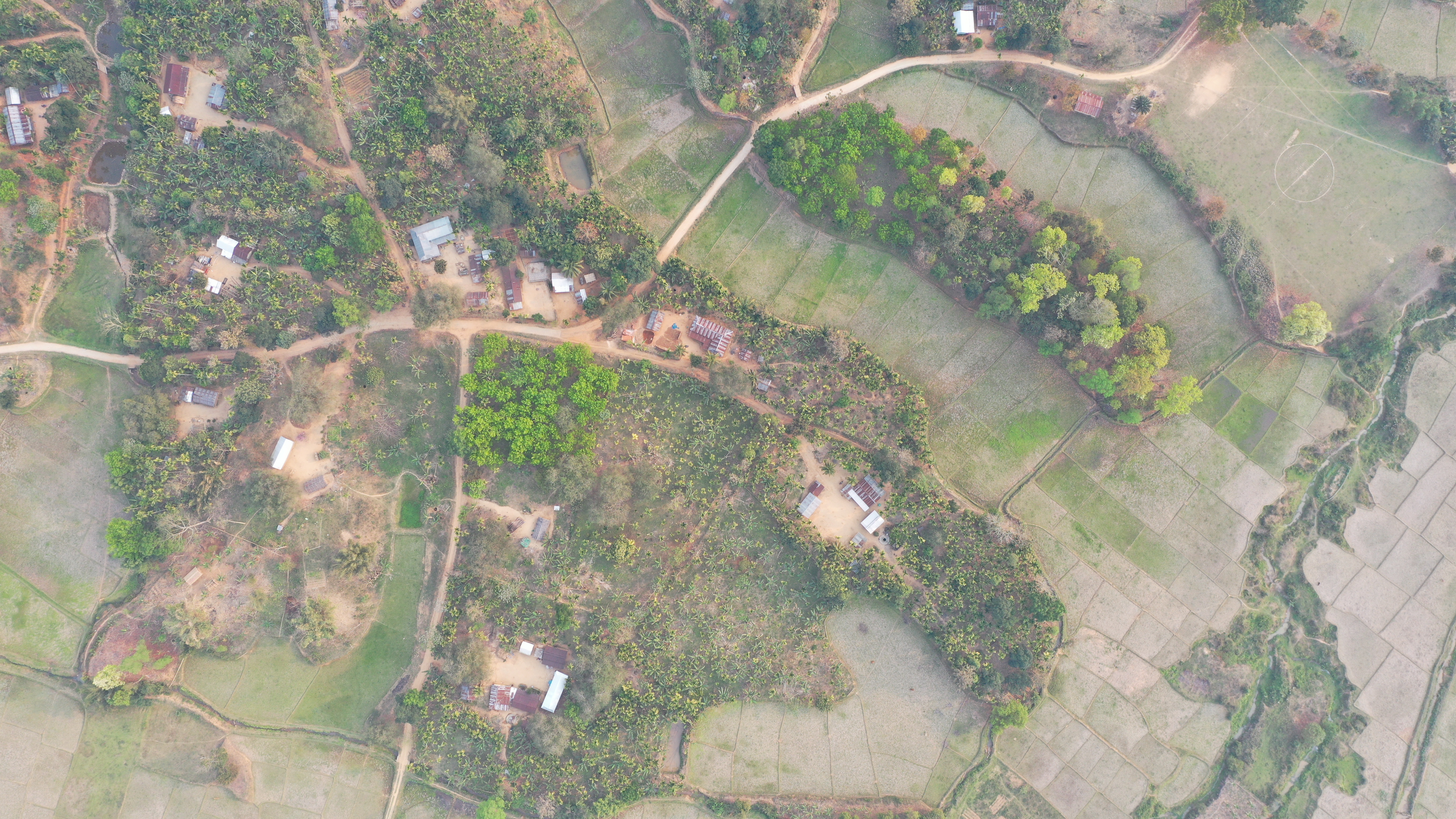 Sustainable forest management